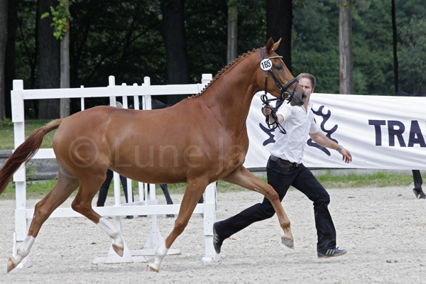 Diadem © Lune Jancke